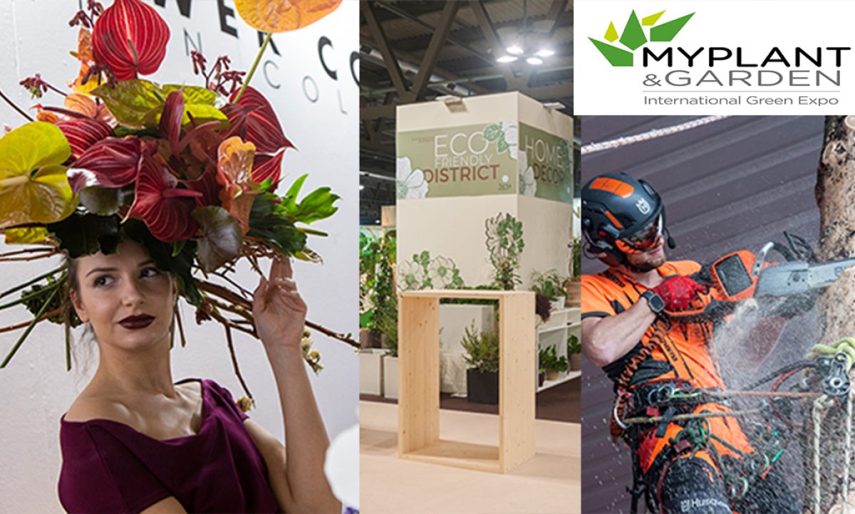 events_myplant_30012025084259
