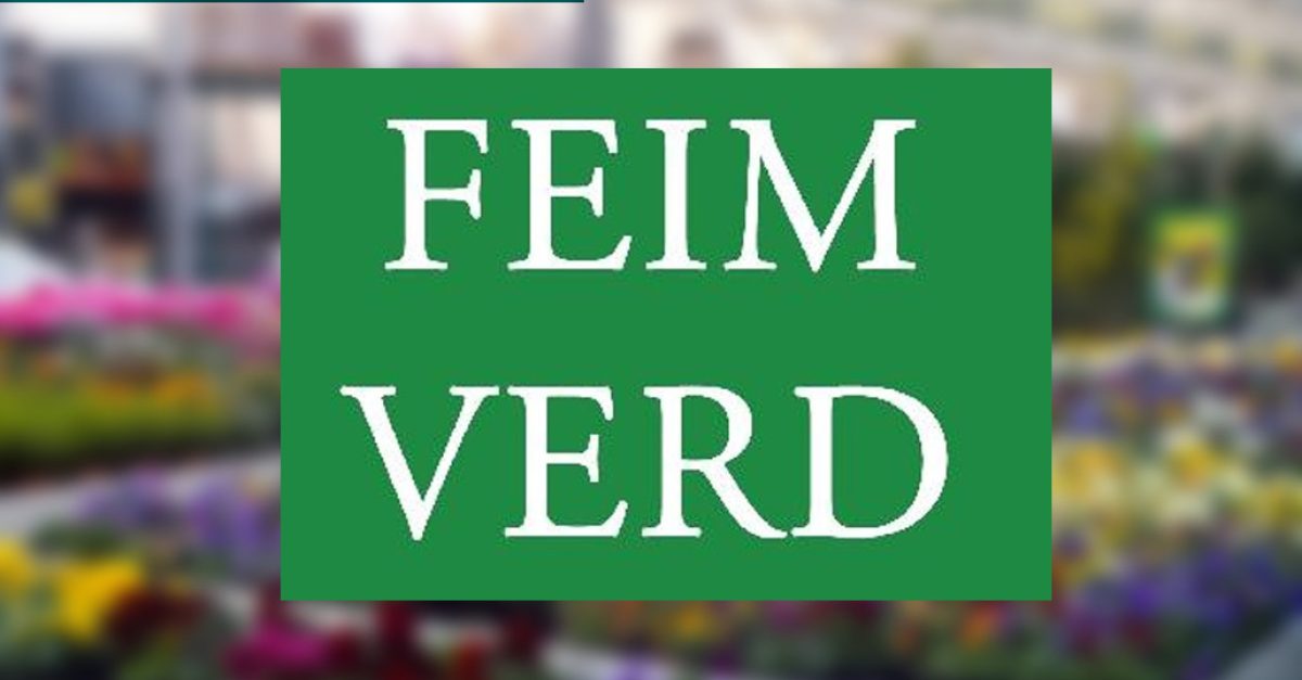 feim-verd-bauhaus_15052020121759