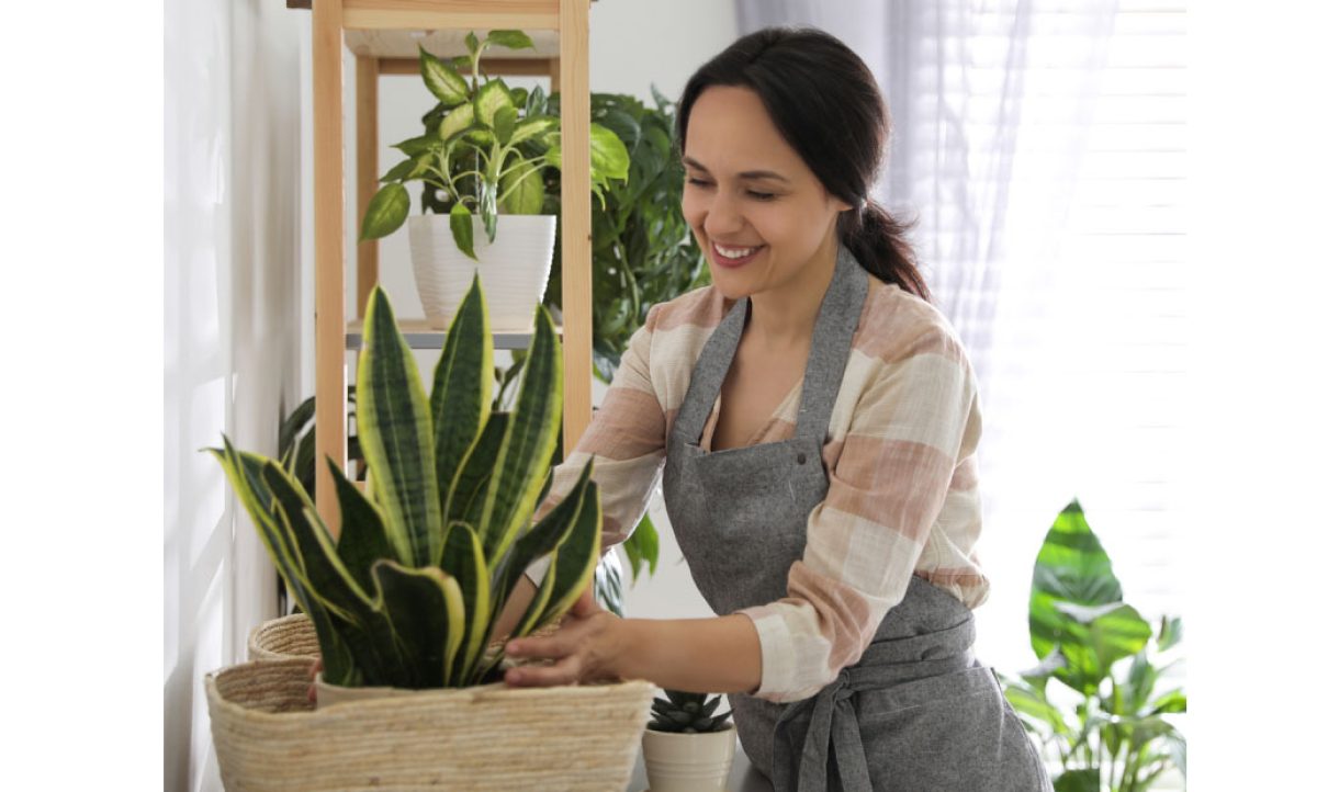 fepex_ndp_06062023083459
