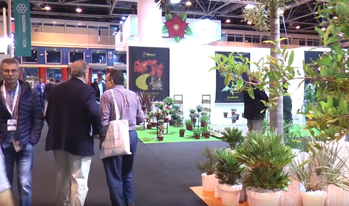 feria_flower_and_garden_23082019090107