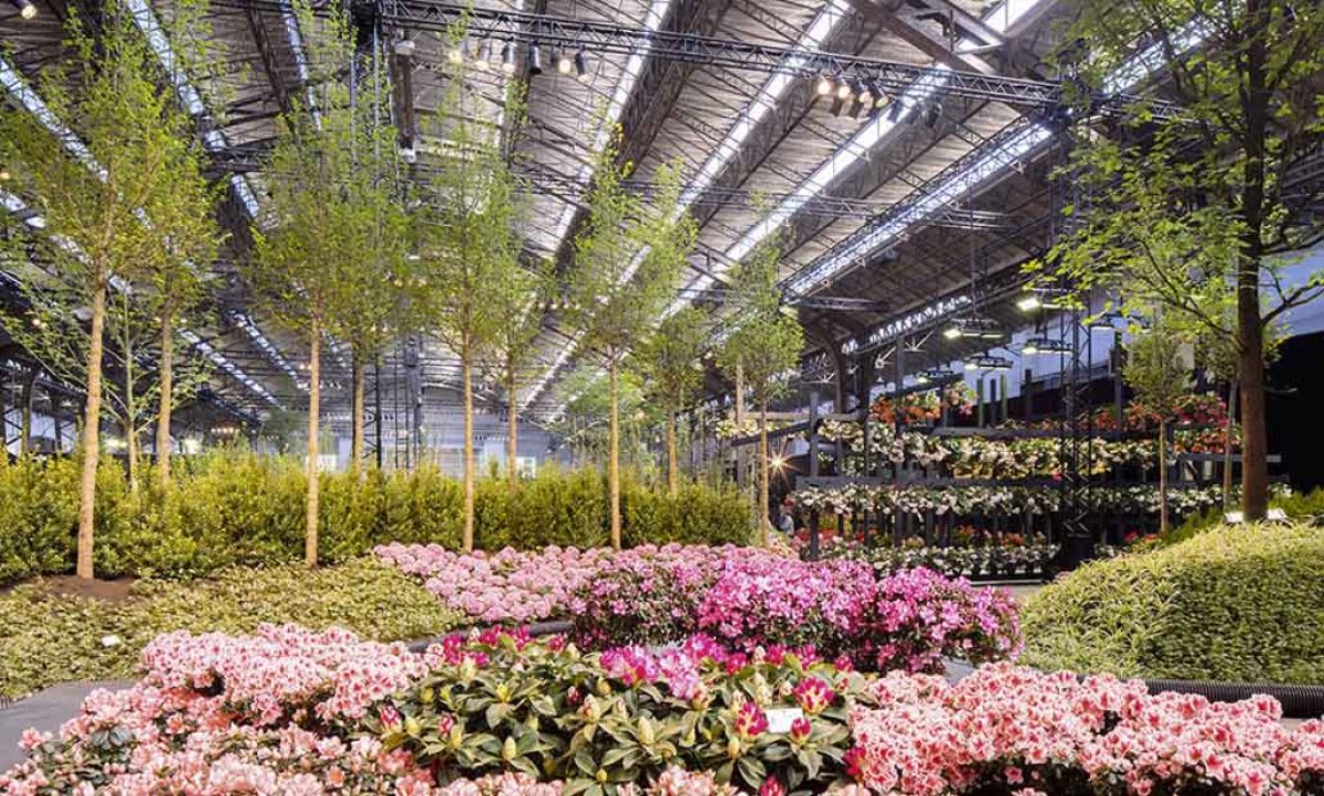 floralien_27042022124518