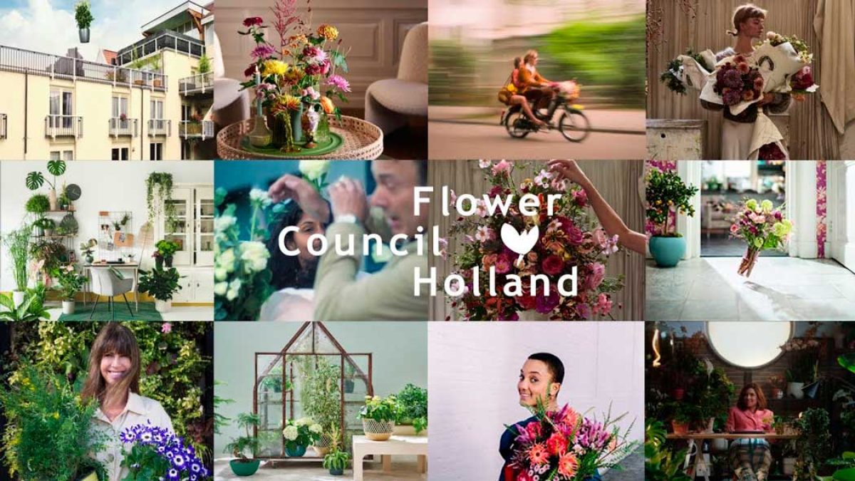 flower-council-holland_14072023100651