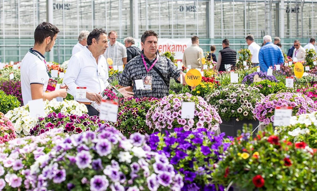 flowertrials-2025_01042025094720