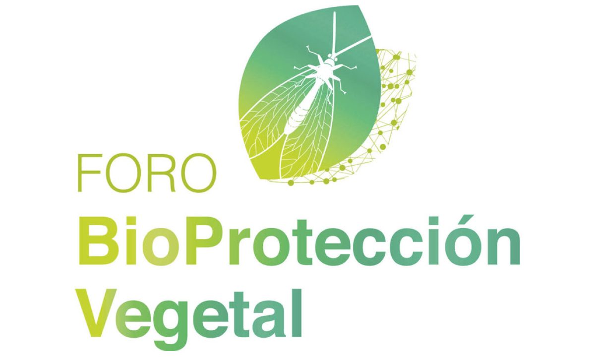 foro_04062019080715