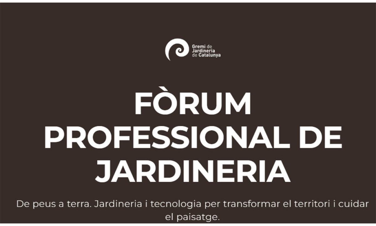 forum_29012026110707