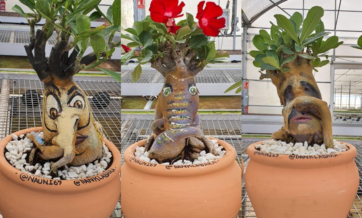 fotos_plantal_13012020095034
