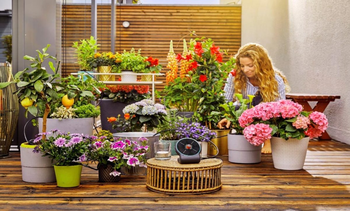 gardena-aquabloom_11062020105155