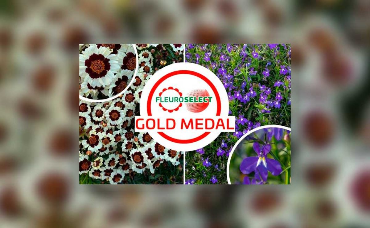 gold-medal_17012024104152
