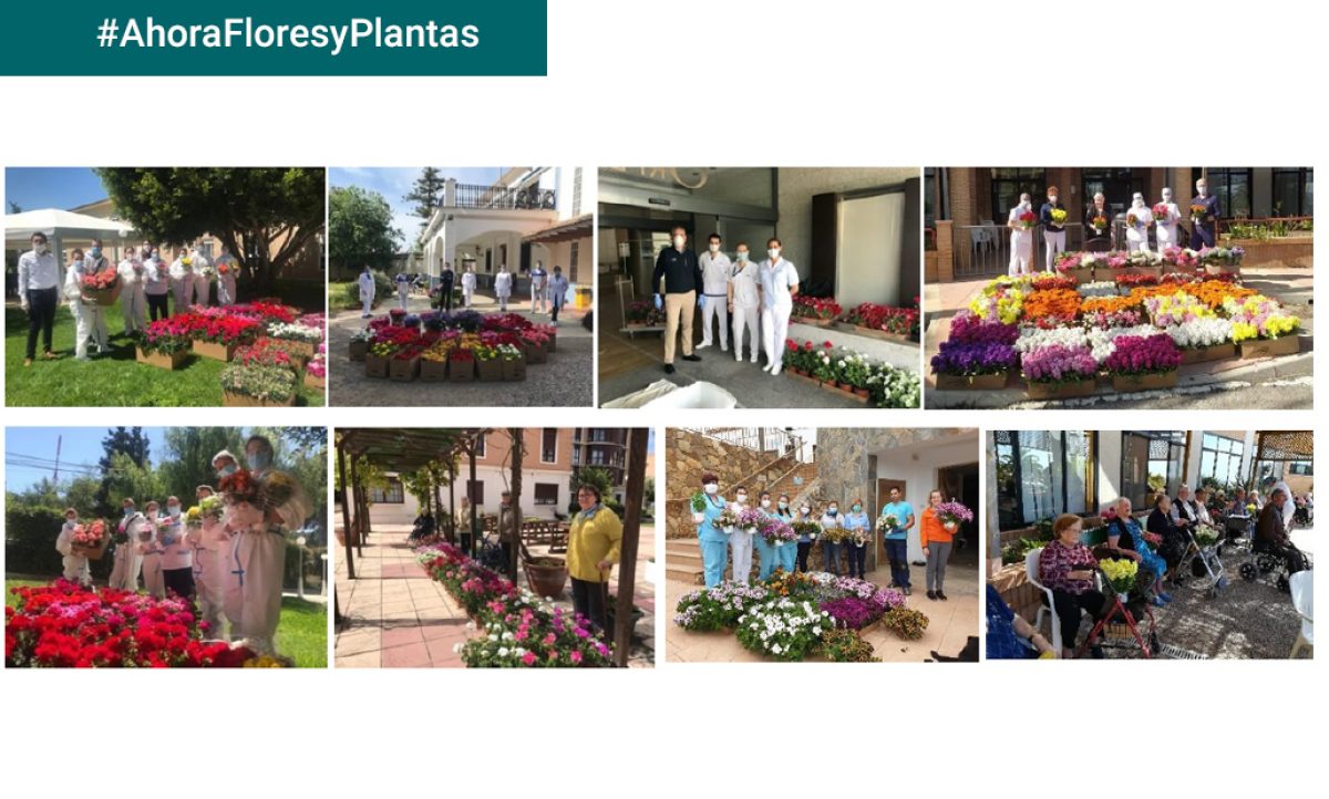 gv-ahorafloresyplantas-accion-icl_06052020144726