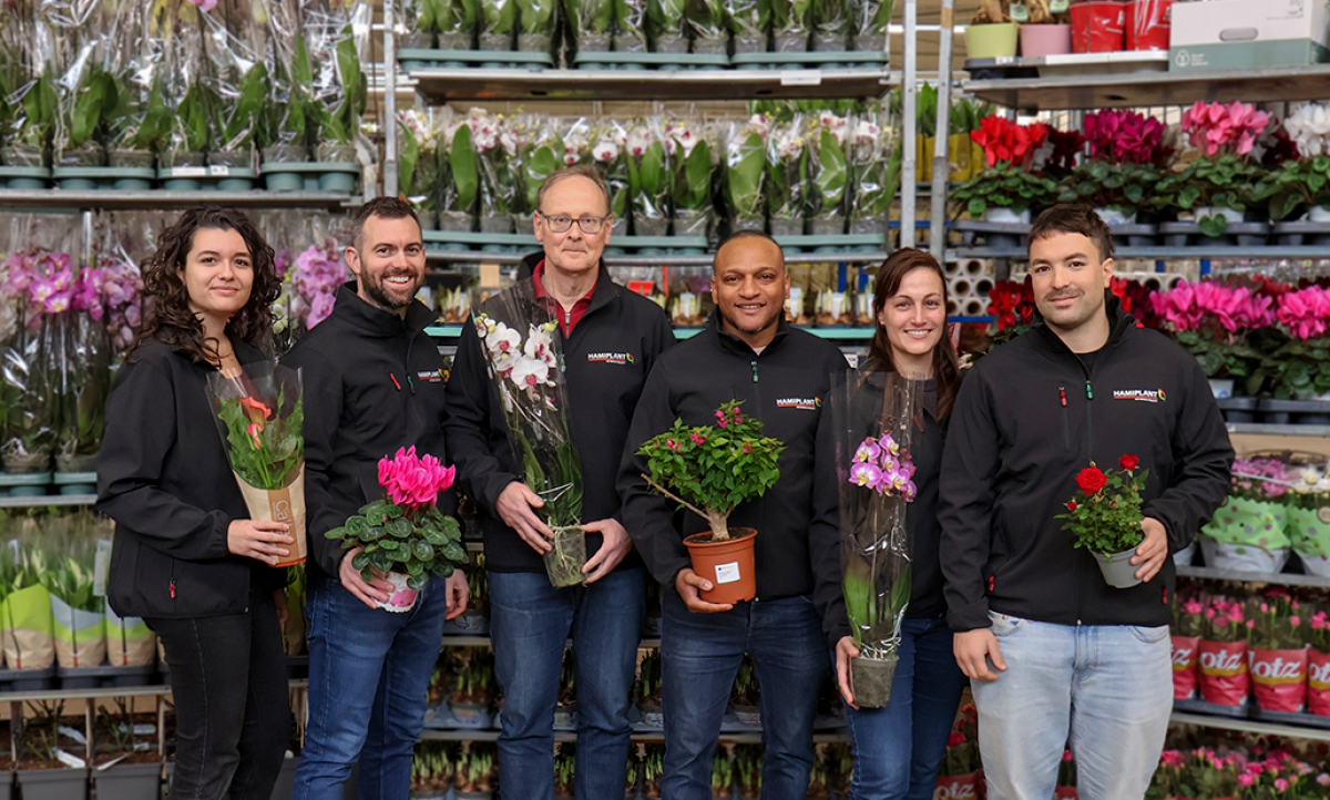 hamiplant_24032025162018