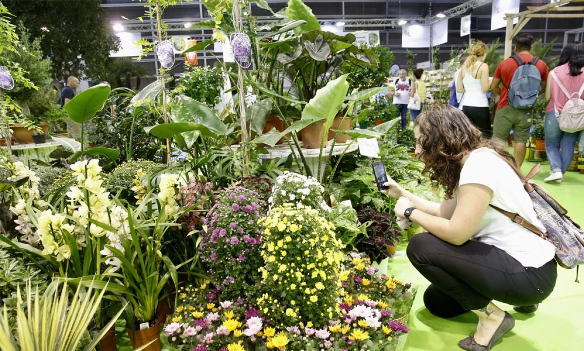 iberflora2021_14072021093311