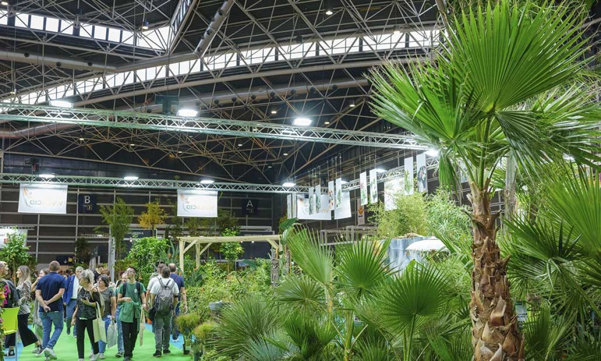 iberflorafin01_06102022170518