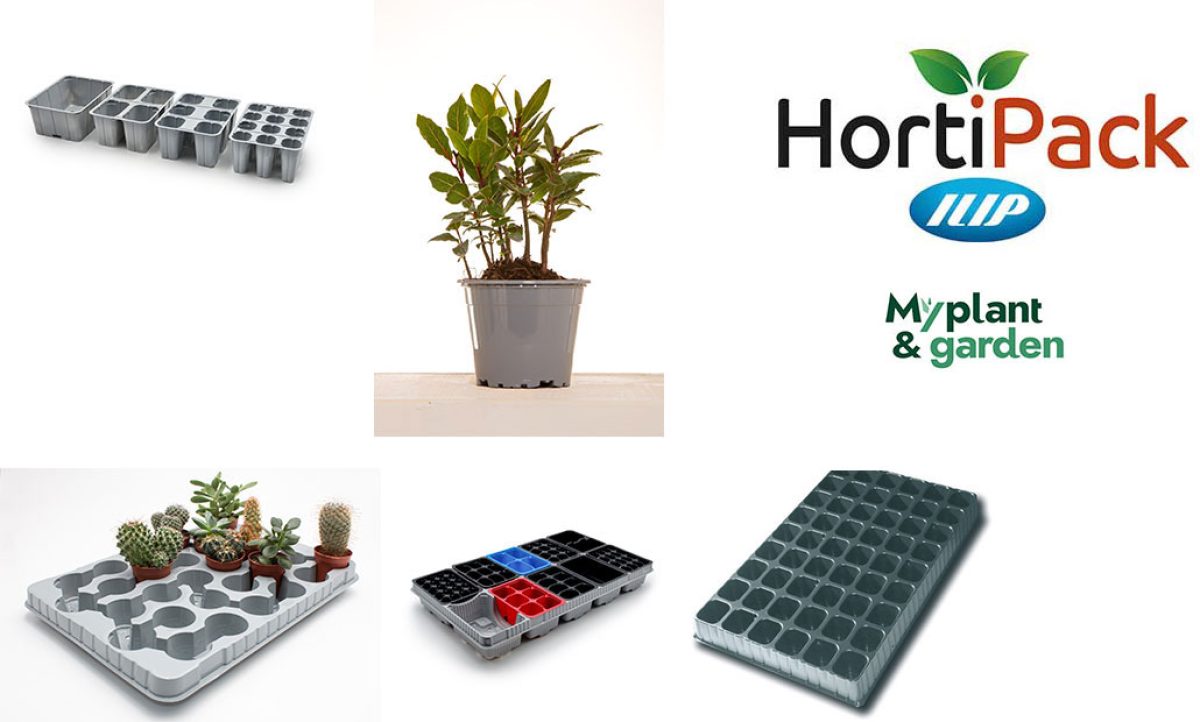ilip_ipm_myplant_12022026170430