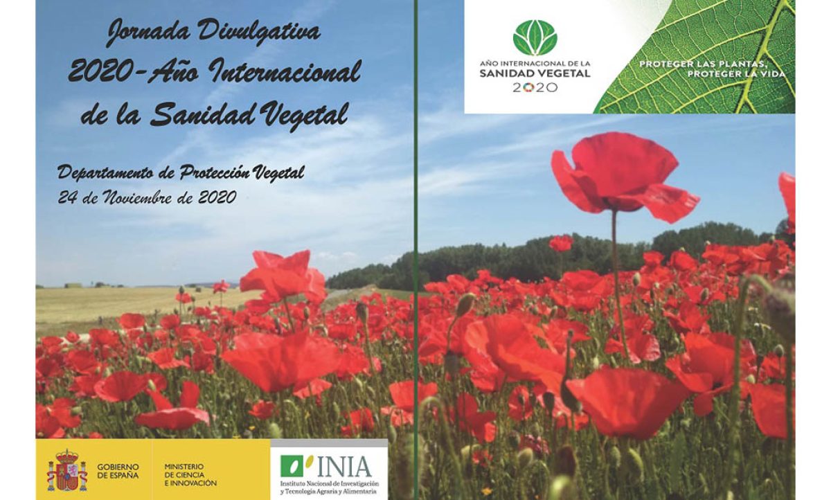 inia_16112020073843