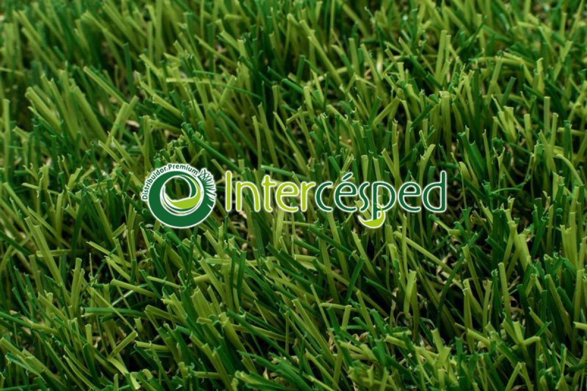 intercesped-iberflora-19_24092019155606