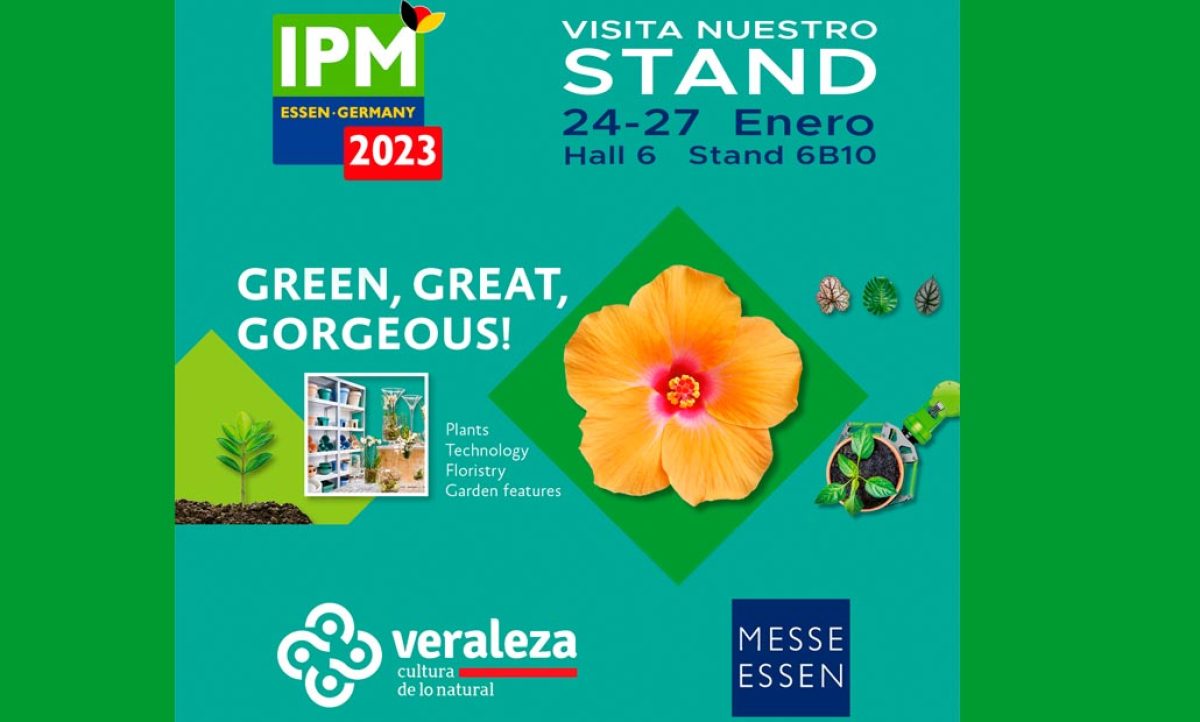 ipm_veraleza_19012023141130