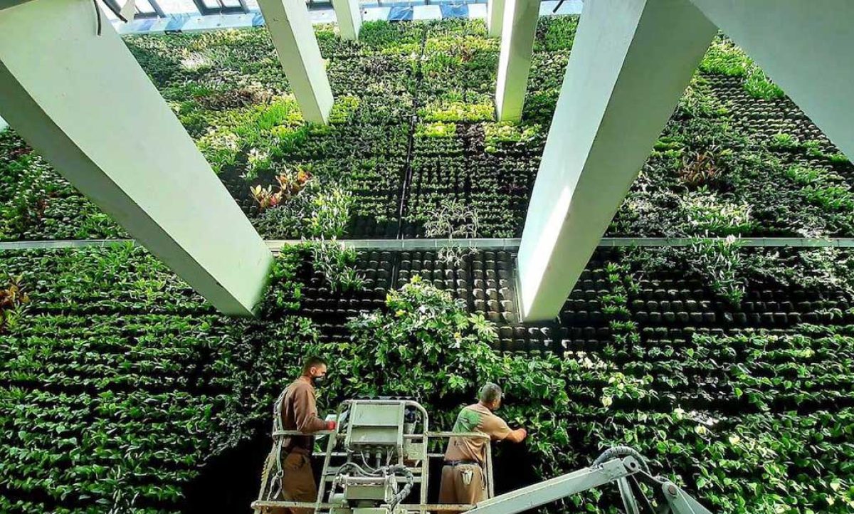 jardinvertical_25092020110017