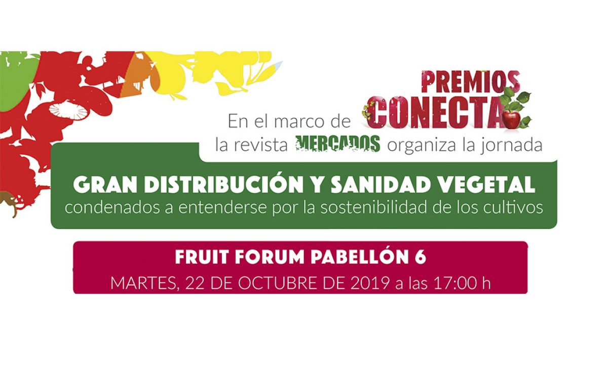 jornada-vds_17102019115533