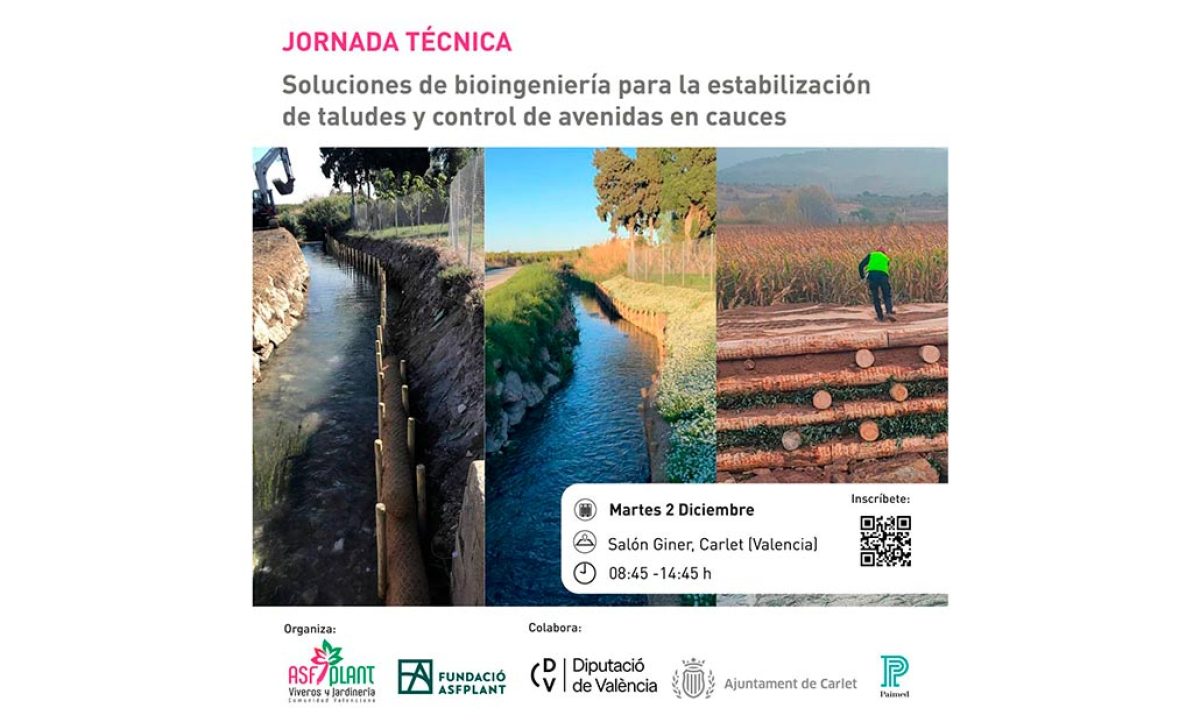 jornada_06112025122500