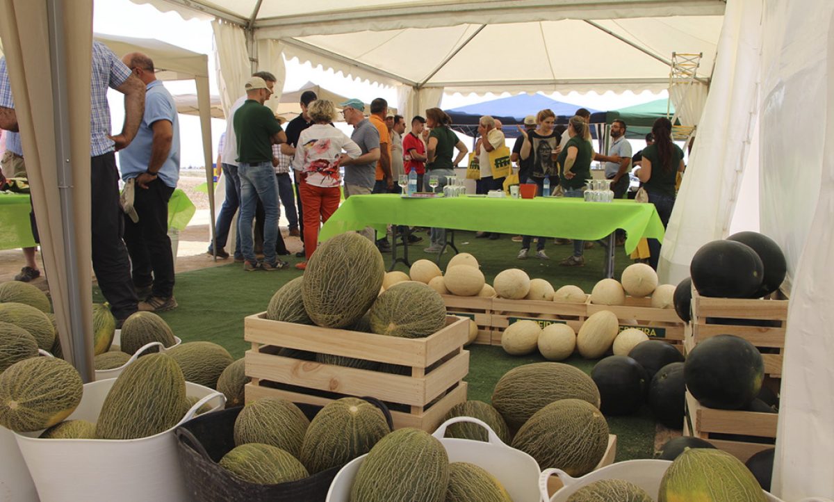 jornadas_de_melon_y_sandia_de_semillas_fito_02072019102324