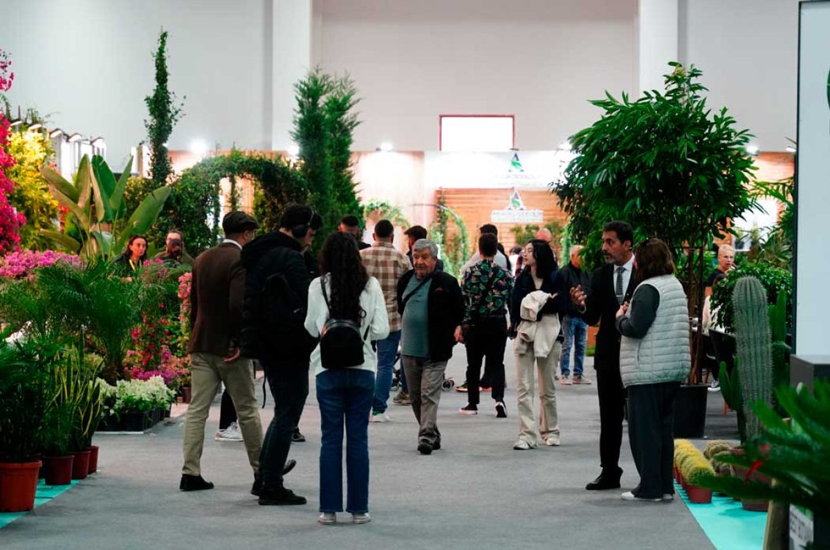 landscape-istanbul-fair_26062024085301