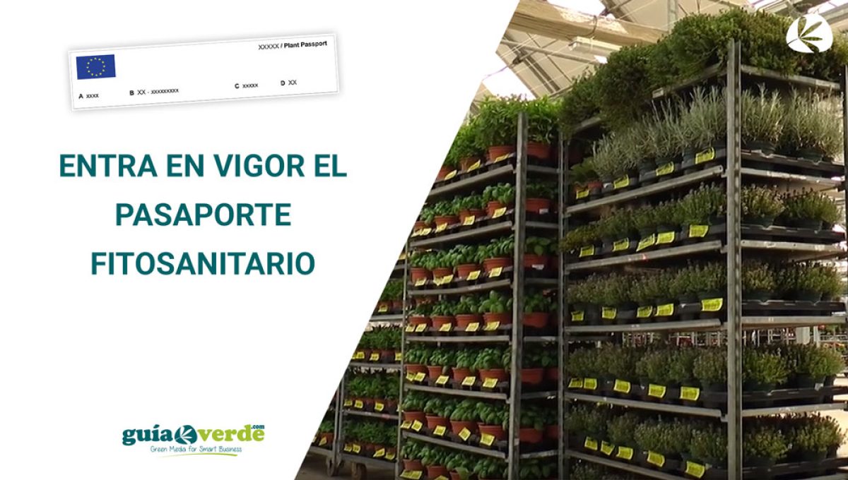 miniatura-pasaporte_12122019154858
