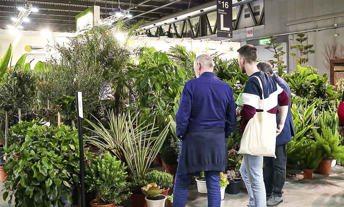 myplantandgarden_01032023123128