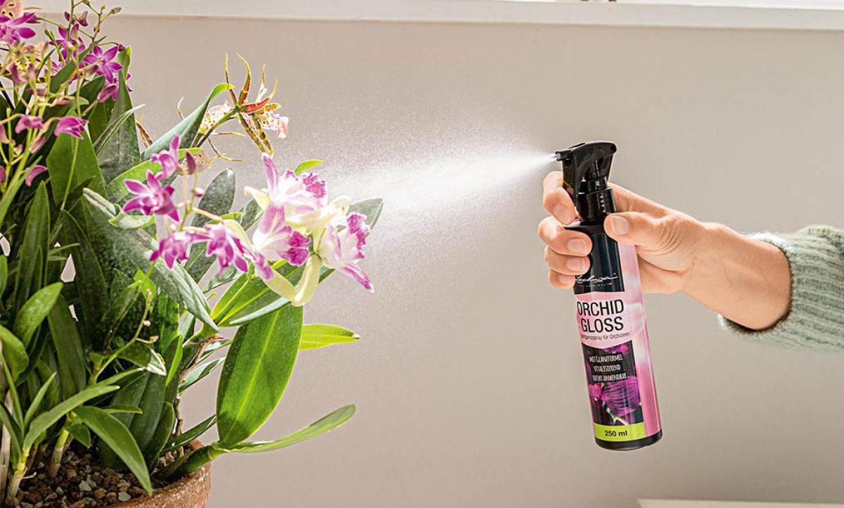 orchid_gloss_250_ml_05072022141223