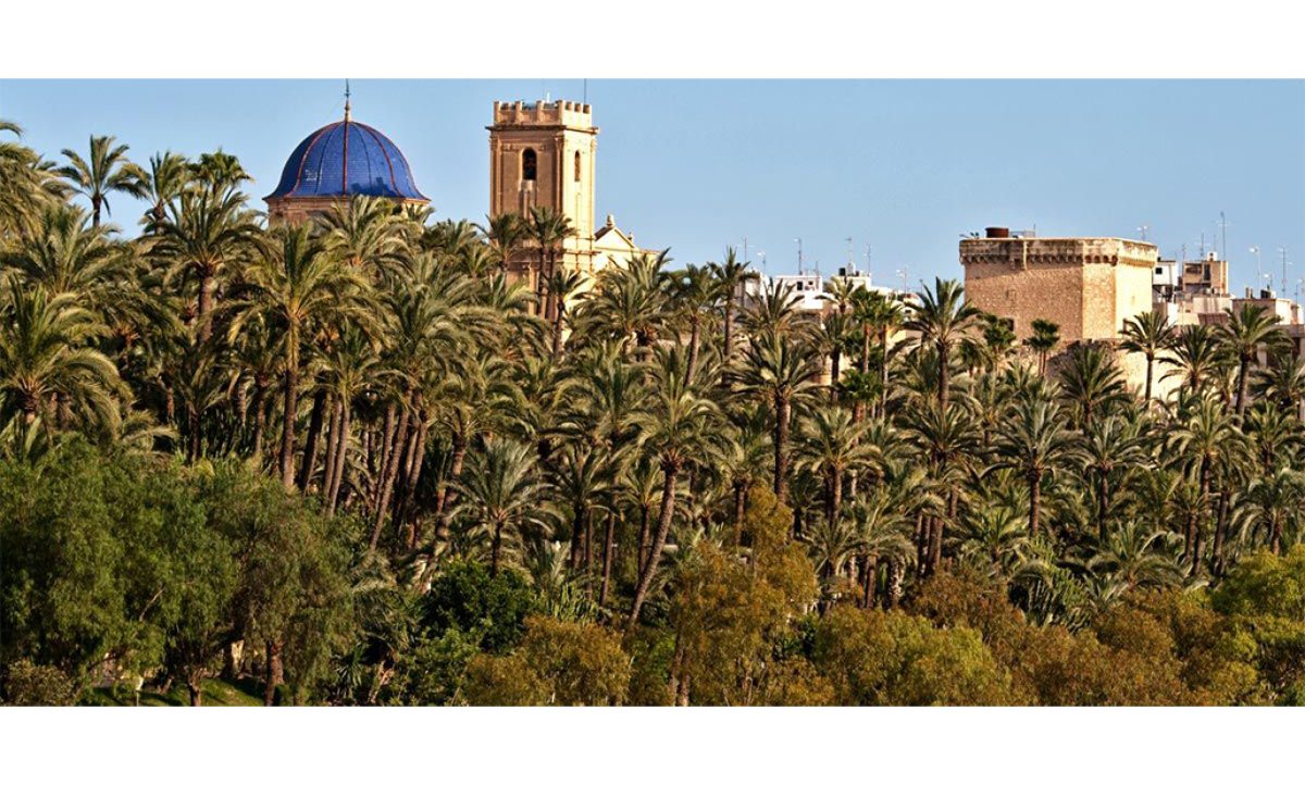 palmeral-elche-ley-proteccion_10012020090618