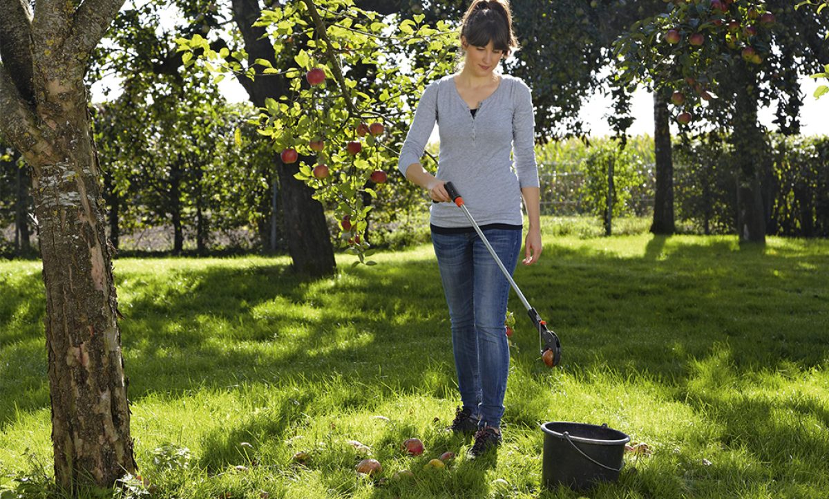 pinza_de_jardin_15092022163433