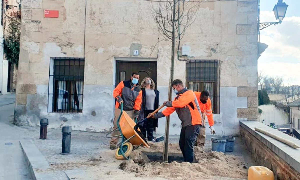 plantacion_toledo_04022022111859