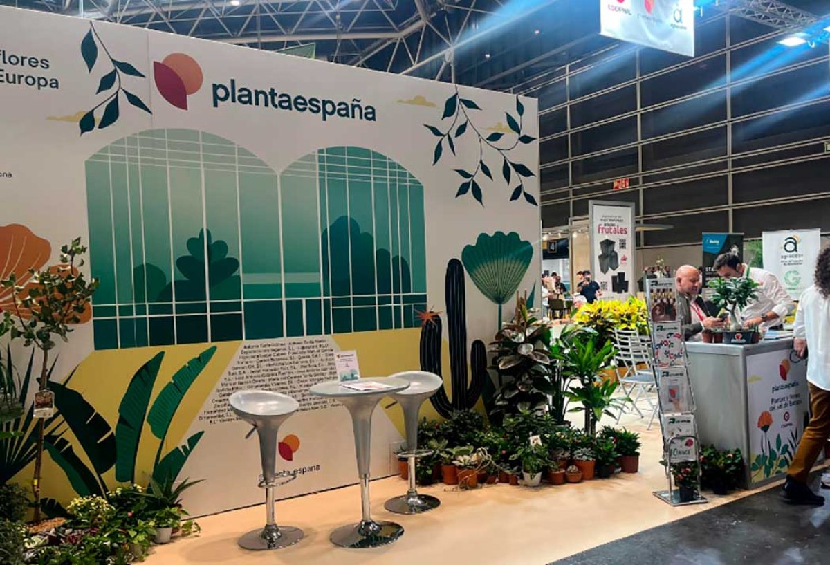plantaespana-iberflora_20102025135511