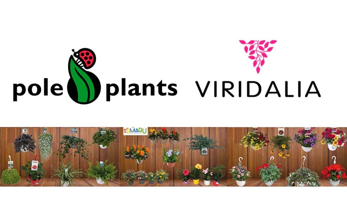 poleplants_02062022131305