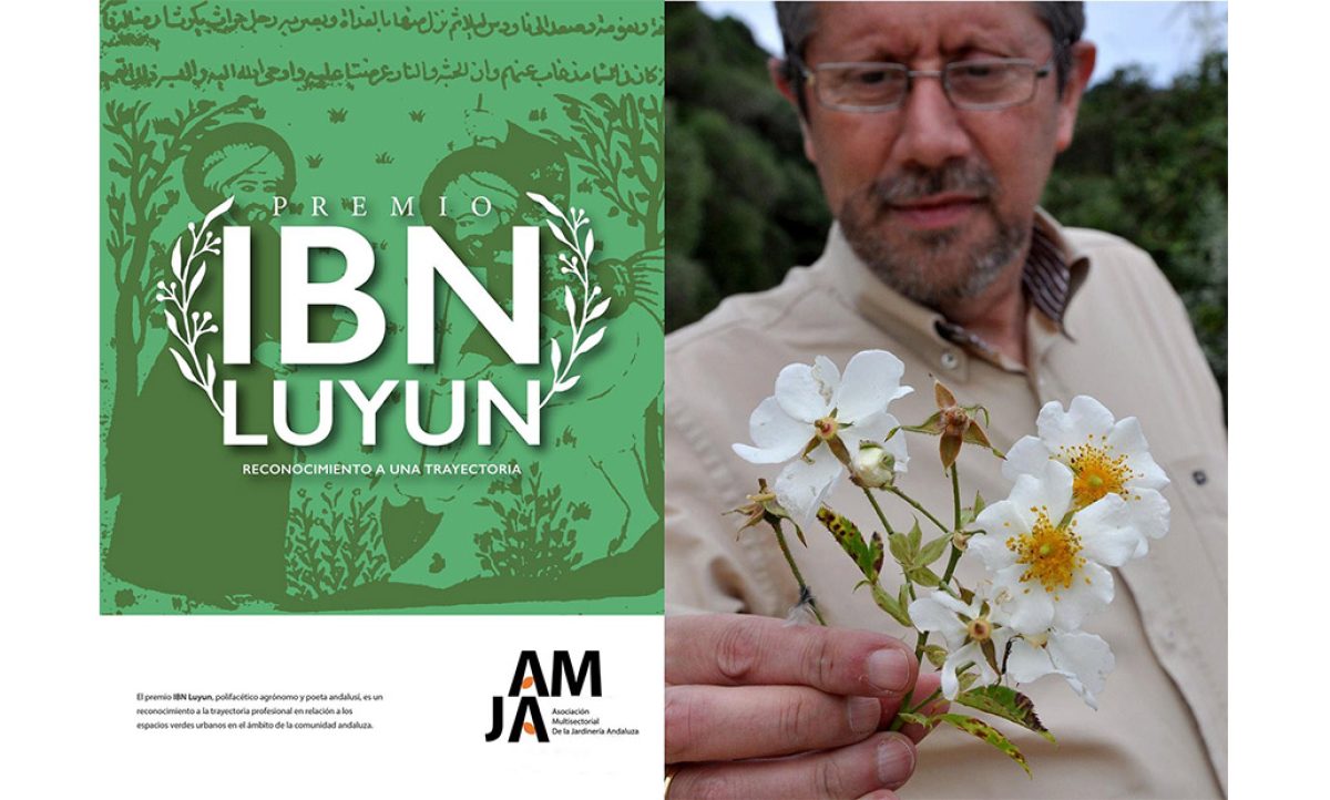 premioibnluyun_25012023164146