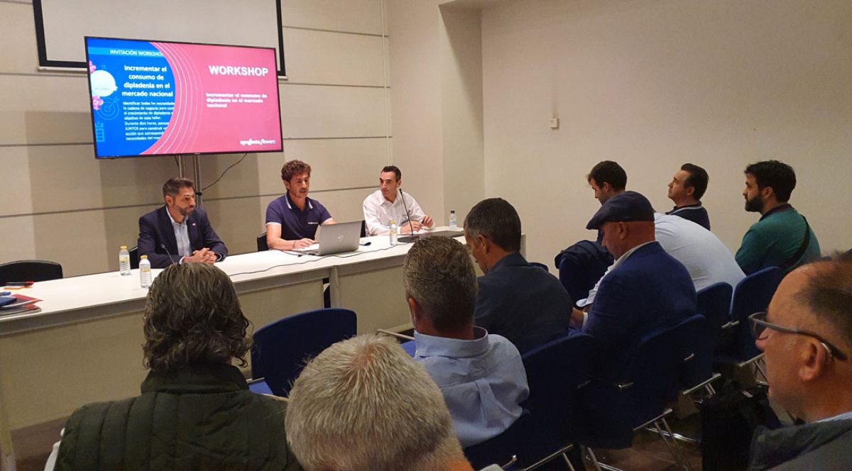 syngenta-dipladenia-0_11102022110256