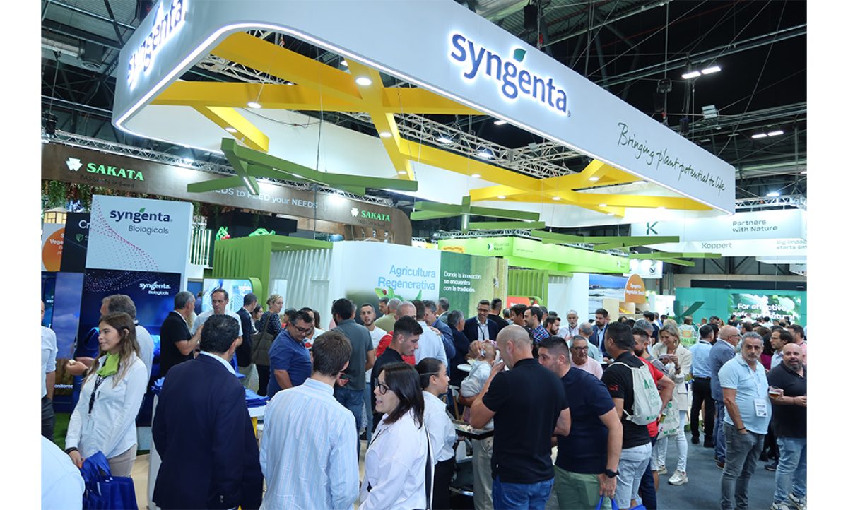 syngenta_25092024084352