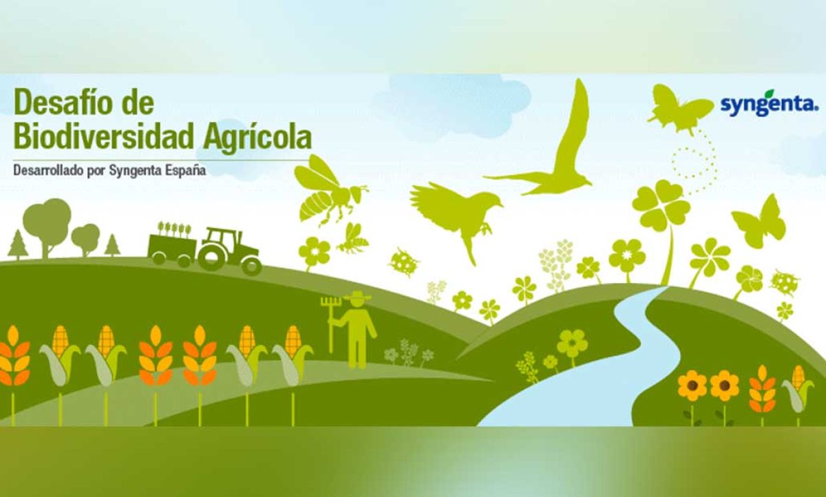 syngenta_concursos_13042022110814