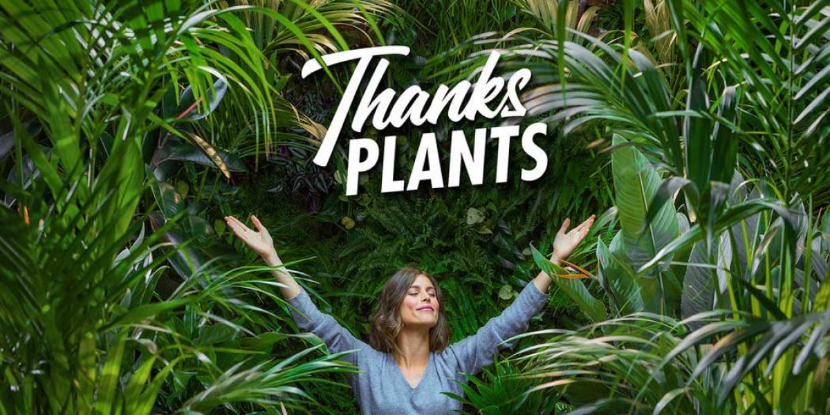 thanks-plants_21072020082224