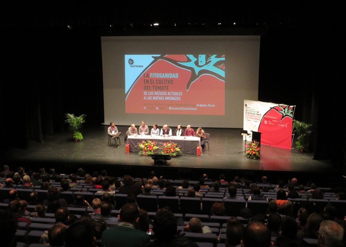 tomate_noticia_conclusion_201219_23122019072218