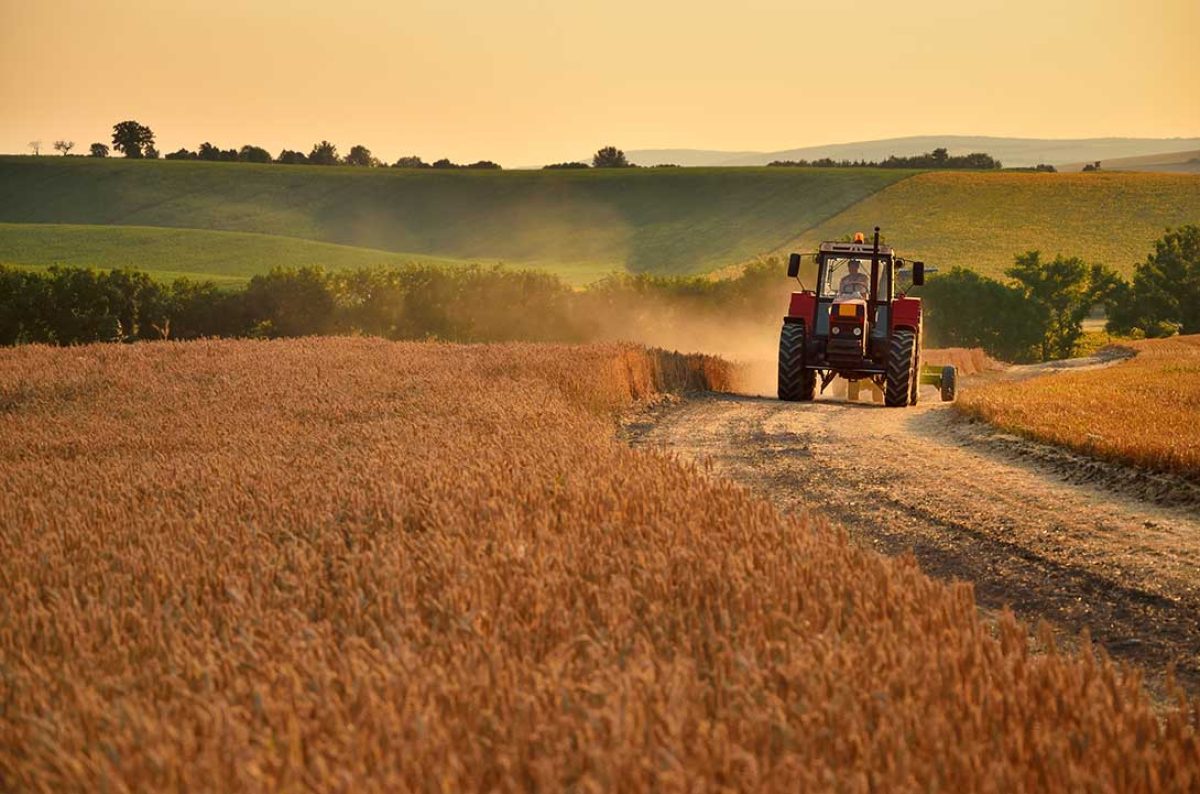tractor-campo_21072022183648