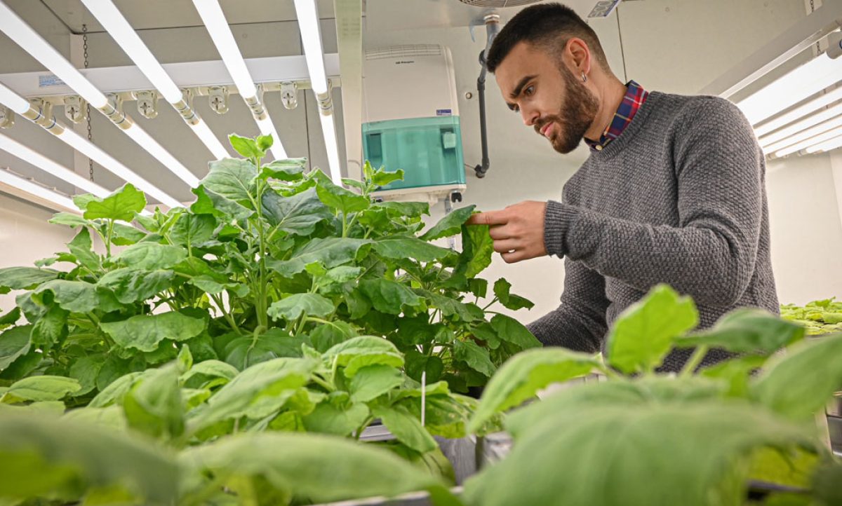upv_lab_09112021113724