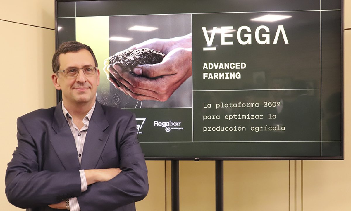 vegga_29042022110212