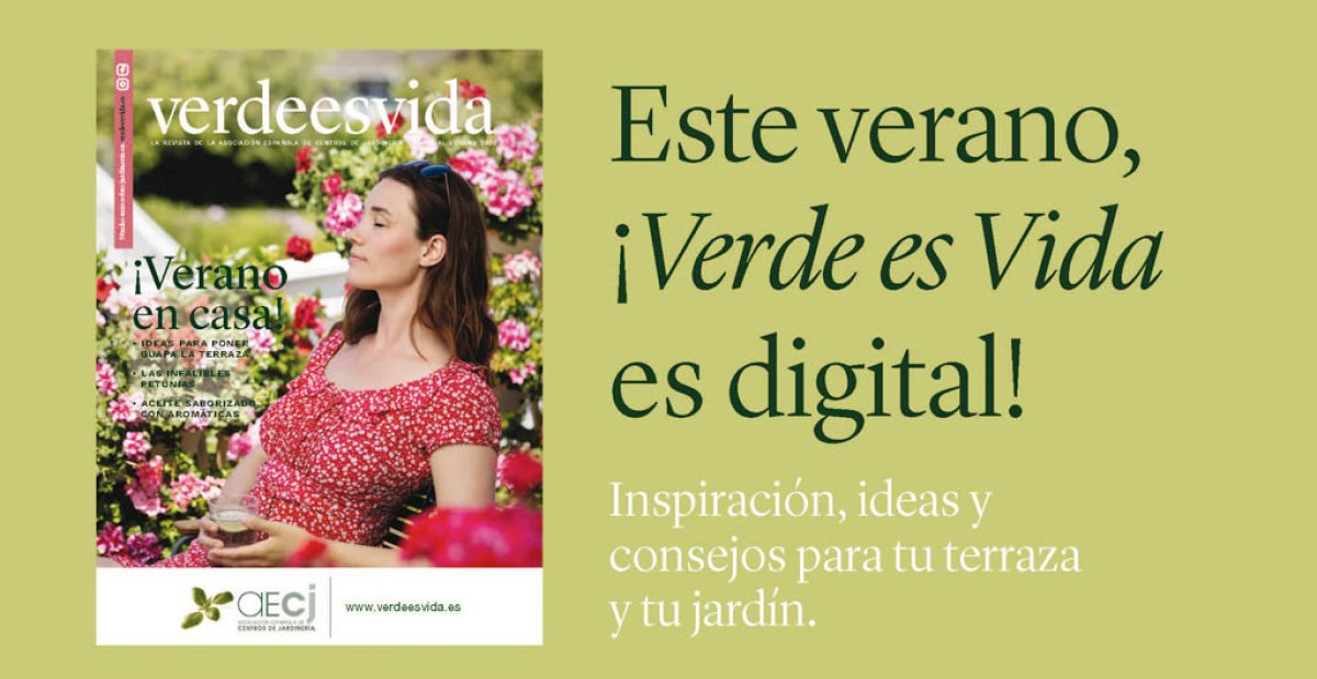 verdeesvida-verano-2020_22062020105349