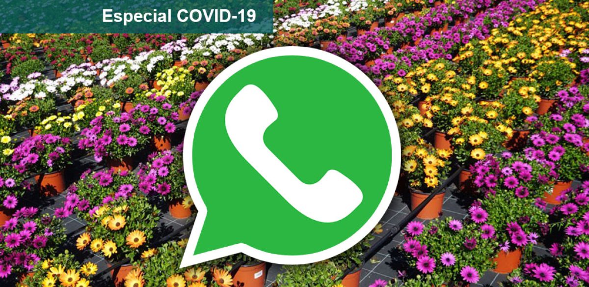 whatsapp2_19032020092251